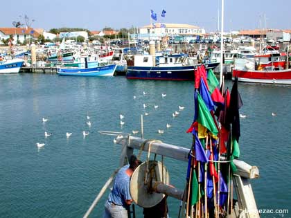 Ile d'Ol�ron, le port de La Cotini�re