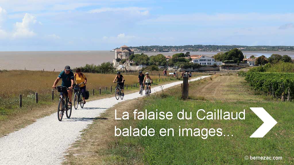 Talmont-sur-Gironde, la falaise du Caillaud, chemin