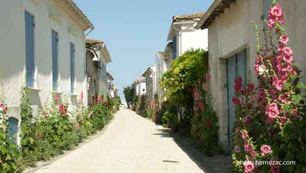 Talmont-sur-Gironde, ruelles et roses trémières