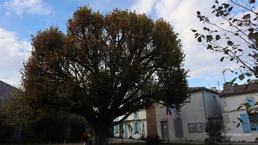 Talmont-sur-Gironde