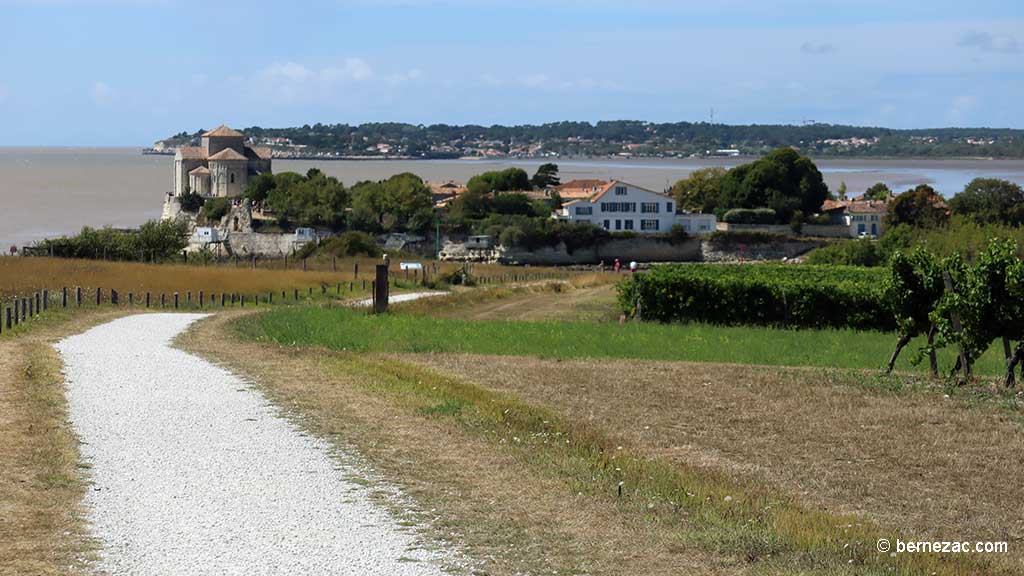 Talmont-sur-Gironde, la falaise du Caillaud, chemin