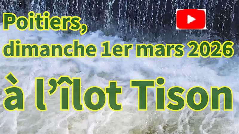 Poitiers, dimanche 1er mars 2026, ambiance printemps à l’îlot Tison