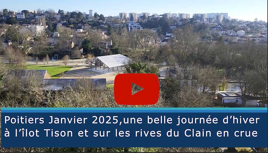 Poitiers Janvier 2025, une belle journée d’hiver à l’îlot Tison et sur les rives du Clain en crue