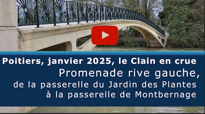 Poitiers, janvier 2025, le Clain en crue, promenade rive gauche de la passerelle du Jardin des Plantes