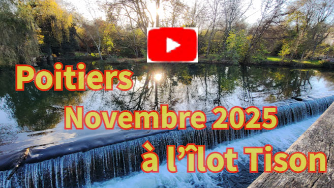 Poitiers novembre à l'îlot Tison