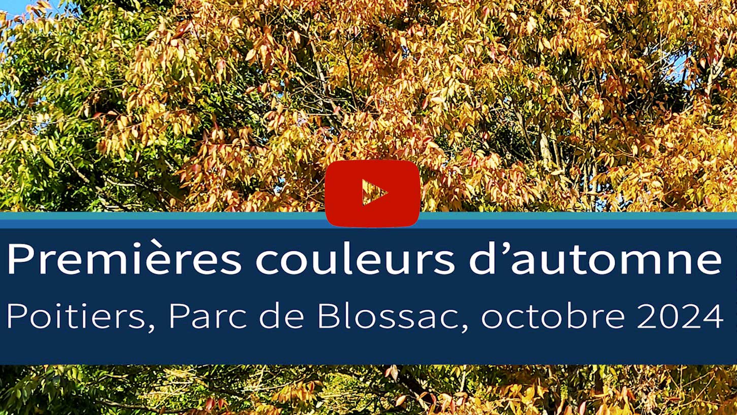 Poitiers, premières couleurs d’automne