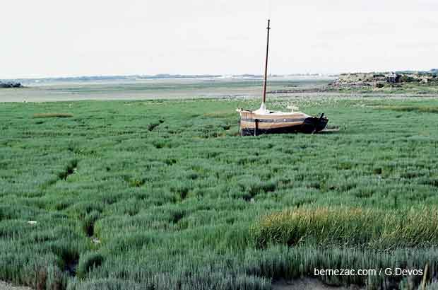 Ars-en-Ré le martray bateau 1987