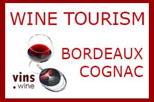 Wine Tourism Bordeaux Cognac