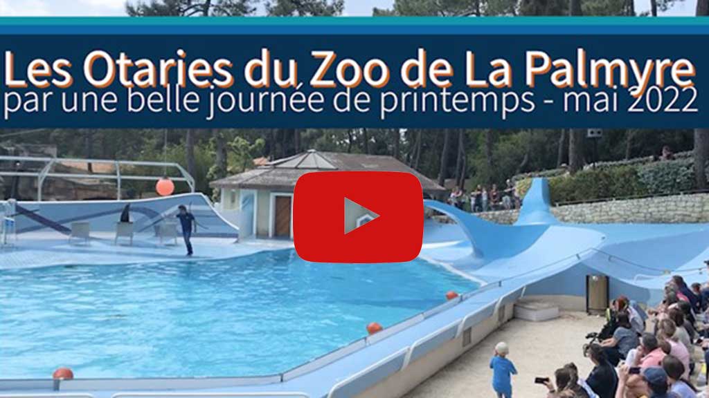 Zoo de La Palmyre