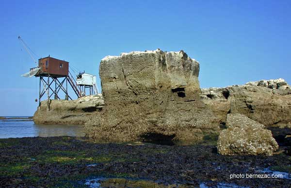 saint-palais-sur-mer, la roche aux moines
