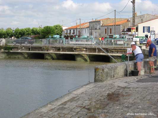 Saujon, le port de Ribrou, photo 087_01