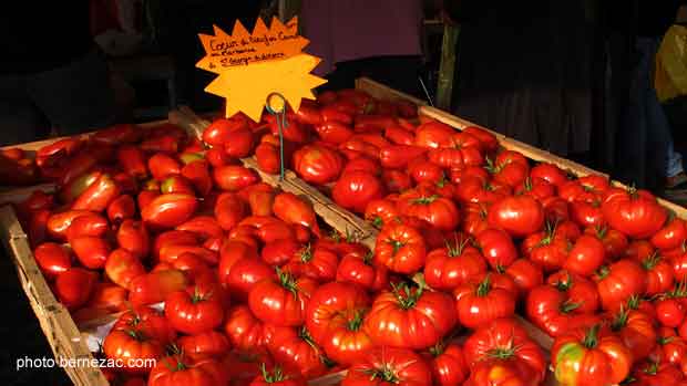 Royan, le marché, tomates Coeur de Boeuf de Saint-Georges-de-Didonne